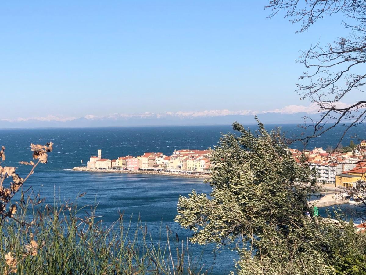 Apartment Modrin Piran Eksteriør billede
